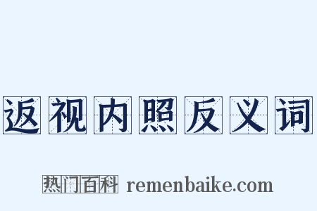 返视内照反义词是什么意思的图片
